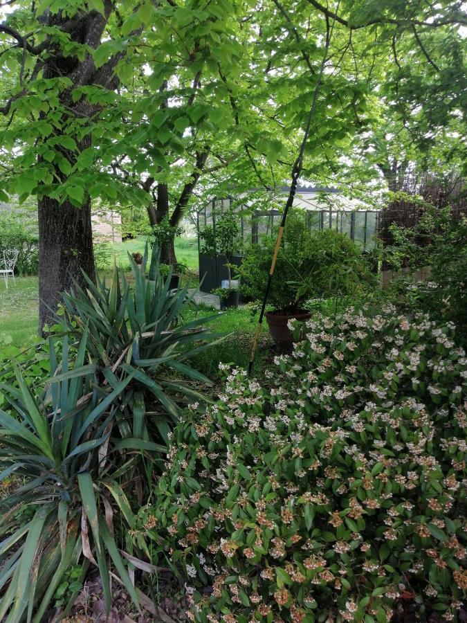 Corte Di Maggio B&B Country House Imola Eksteriør billede