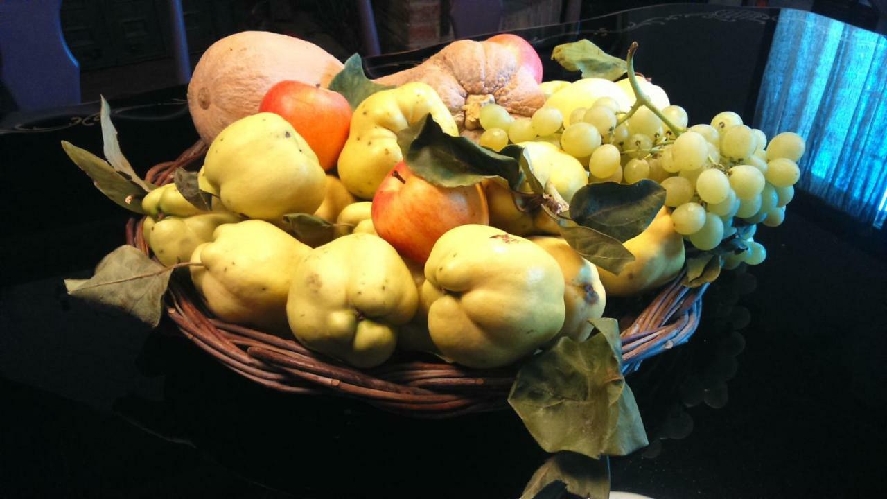 Corte Di Maggio B&B Country House Imola Eksteriør billede